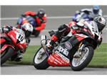 Fontana 2009