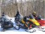 Group of Sleds