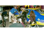 Bryan Anderson films Madonna transfering to racecar, Kimberly B. waits her turn.