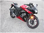 2010 Ninja 250