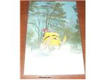 Jumping Ski Doo Post Card