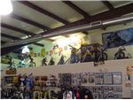 George's bikes