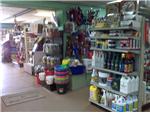 Our Store
