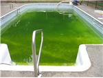 "M" Pool Before