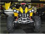 2008 Renegade 800 GVP Exxxtreme Edition