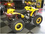 2008 Renegade 800 GVP Exxxtreme Edition