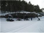 Winter at Handberg's