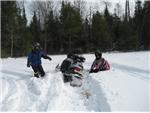 Winter at Handberg's