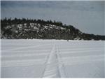 Winter at Handberg's