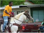 How Show 2008 Trail Ride