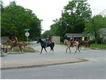 How Show 2008 Trail Ride