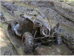 Leisurely Minden ATV Tour