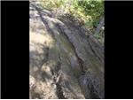 Leisurely Minden ATV Tour