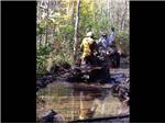 Leisurely Minden ATV Tour