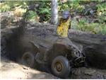 Leisurely Minden ATV Tour