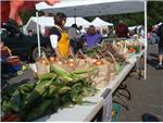 Fresh Produce