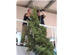 WORKERS AT THE TOP