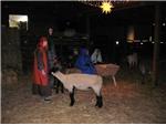 Live Nativity
