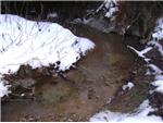 Honeysuckle creek