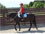Aubrie Riding Shandora