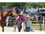 Horse Photo Contest