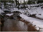 Island covered with snow