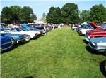 Car Show