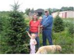 Picking out the Christmas Tree at Grandpa's Farm