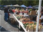 Fall Fest 08