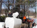 Maple Syruping '09