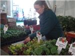 Lois with plants for sale