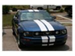 Blue/White Mustang