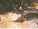Burdette DS450