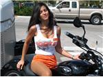 Hooters