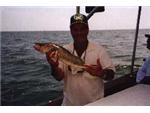 Fishing 5