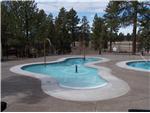 Commercial Wader Pool