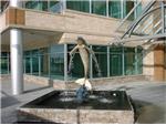 Dolphin water feature finished