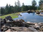 Vanishing edge pool