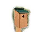 Going Green Recycled Plastic Bluebird House by Woodlink