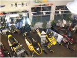 Our Showroom