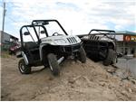 Prowlers  In Dirt