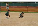 Rookies 2