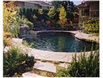 Custom Pool