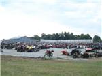 The Boneyard