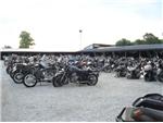 The Boneyard