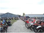 The Boneyard