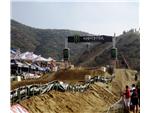 At the Races