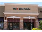 Dog Gone Holistic
