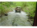 West Virginia