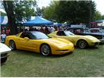 Corvettes